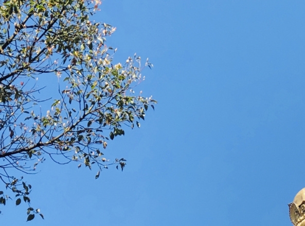 穿越时空，品味千秋圣麟！奇迹暖暖古贴吧图片带你重温经典！