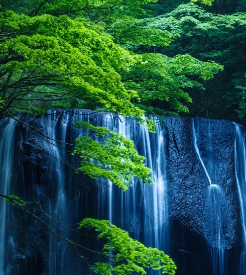 沄锦生活