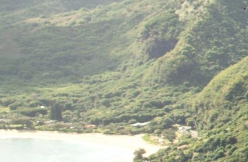 上海新奇迹
