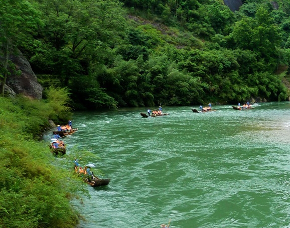 蓝莓奶茶图片大全大图