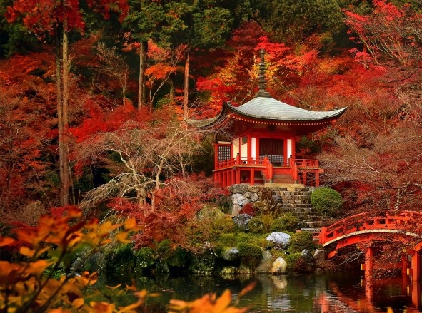 kku智能马桶