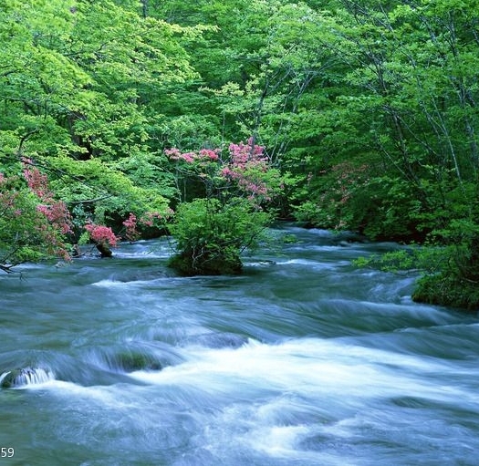 陈实：朝阳公安精英，照片曝光！朝阳县公安局领导风采展示，值得关注！