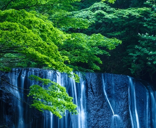 北海瑞电科技招聘信息