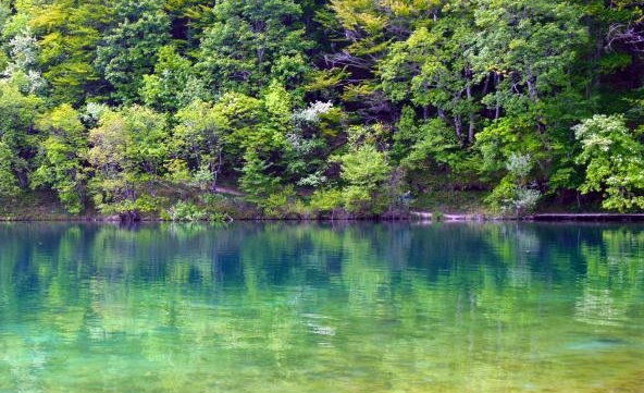 未来之声：探索科技感新世界，体验未来生活的无限魅力