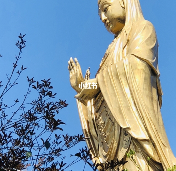 汽油味饮料