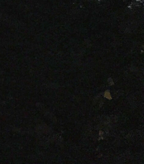 石佛寺中维珠宝的电话