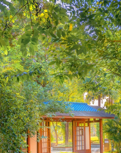 姓名消失：一场神秘现象引发的身份危机，谜团重重，寻找失去姓名的真相