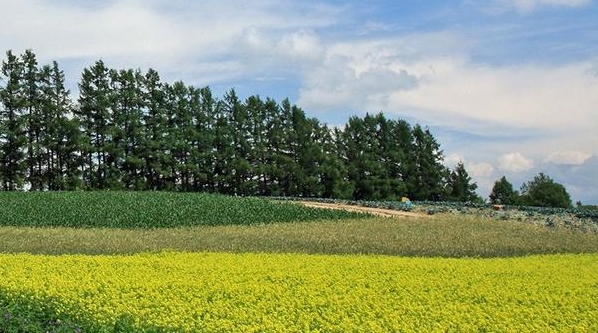 大S倾力展示：走进极致自律生活，感受大S自律挑战的超乎想象瞬间