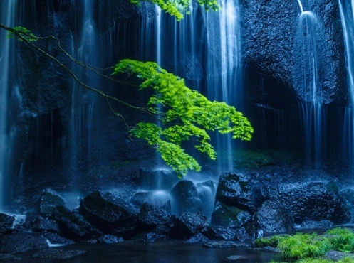 海蛎煎的做法作文