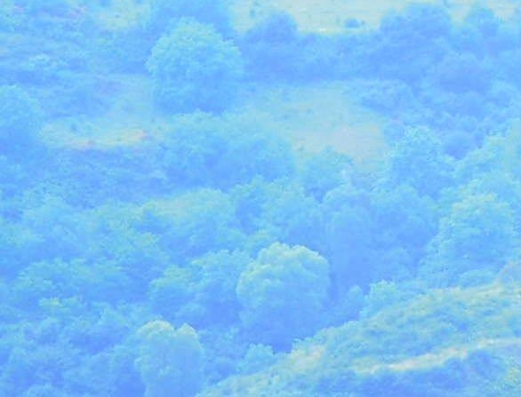 连珠印刻姓名