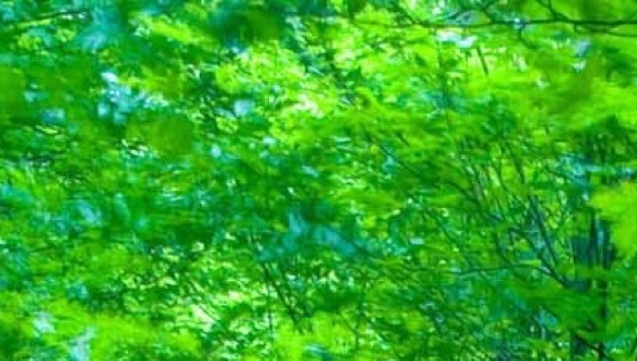 电影无名导演简介