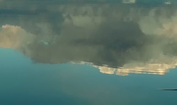 沿河安正武简历