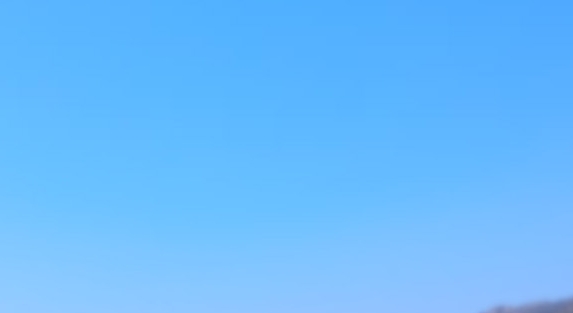 SAFARI OASIS CODE