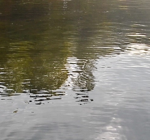 沂源名吃