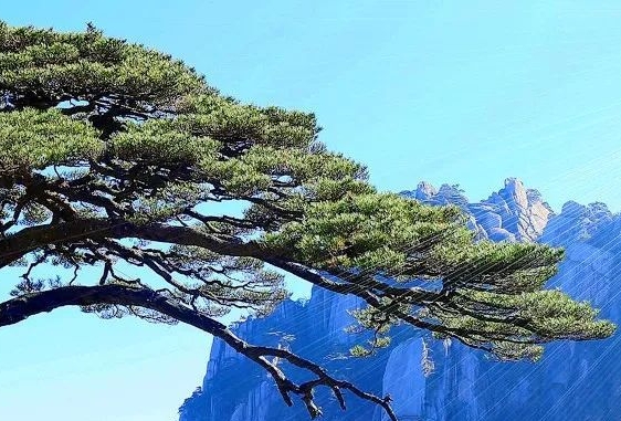 微达智慧生活携手河南移动，共创22字科技生活新篇章
