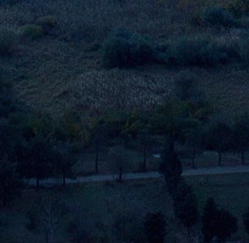 黄平县领导分工简介