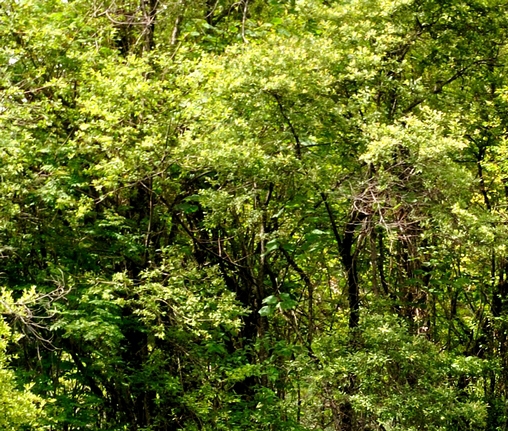 知衣科技登录入口