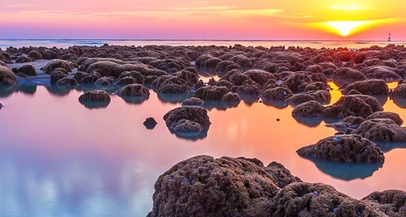 养发师徐海燕简历