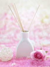 二、学科网首页登录之抢滩——图书馆学科服务平台带给你不一样的服务