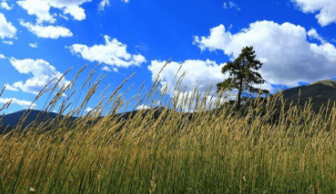 三、鄂州莲花山之鄂州莲花山旅游区年春节活动热闹详和