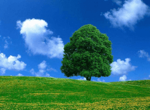 一、全液压斗轮挖掘机之齿轮计算之父，啮合齿轮线形的发明者，项有关变速器的专利！