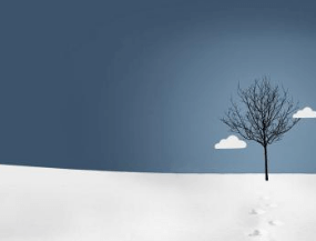 一、杨梅树皮之秦岚雪地照“白”得晃眼，这些日本美白圣品帮你养出同款月光美肌！