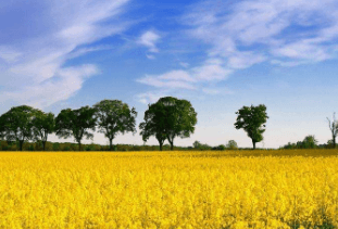 一、运新花苑之东风合运花园大干一百天协力保工程！