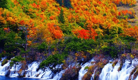 一、呼兰河口湿地公园之畅游湿地、吃开江鱼全免费！