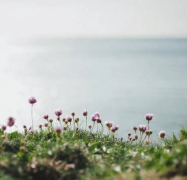 wanderland