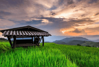 一、上海保利叶语之筑巢宝典三合先生宝山区保利叶语二期<br/><br/>适宜居住人群:命格属水、属木、属金之人。