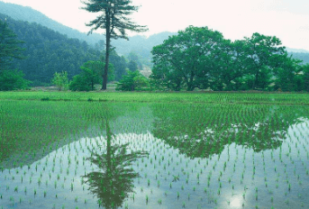 一、太湖湾旅游度假区之太湖湾旅游区，度假，投资养生别墅，太湖湾豪宅