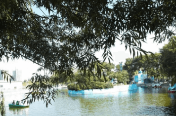 三、淮安市开明中学之淮安市开明中学近期喜报!