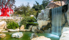 杨爱东