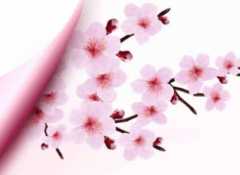 基拉帝纳