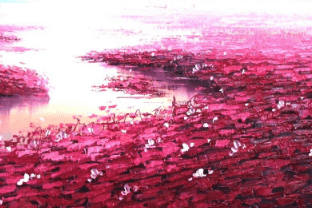 一、万景荔知湾之万景荔知湾