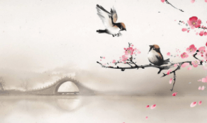 二、刺桂之刺桂都开花吗