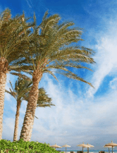 三、临夏奥体中心之临夏奥体中心体育场,“牡丹花”造型成自治州标志性建筑