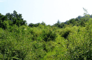 消防阀门井标准图集399