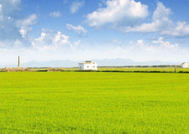 浪琴湾在哪里453