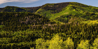 e680i463