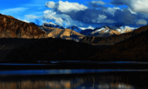 上海凯士比泵有限公司484