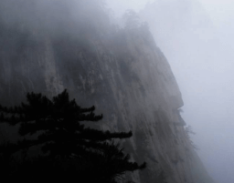 三台山庄303