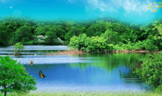 上海闵行体育公园239