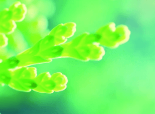 退休赠言诗句417
