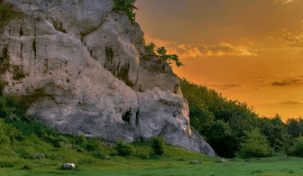 二修改gmail邮箱账户名