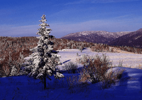 三gmail邮箱批量注册