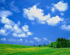 一贸易公司营业执照多少钱