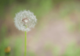 一穿越异界的生活免费下载
