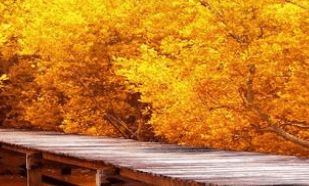 一注册商标去哪个部门