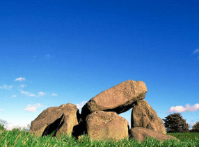 二商标每年要交多少钱